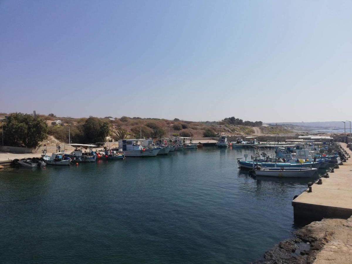 Larnaca Xylophagou 2-Bedroom Apartment With A Shaded Terrace Xylophaghou 외부 사진